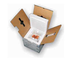 Temperature controlled packaging and transport